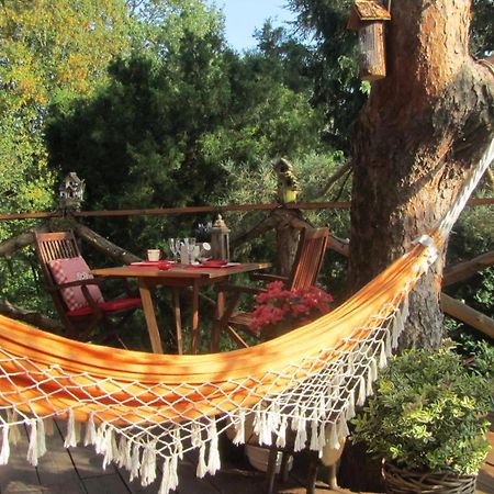 Domaine De La Carrauterie By Terre Insolite Sautin Εξωτερικό φωτογραφία