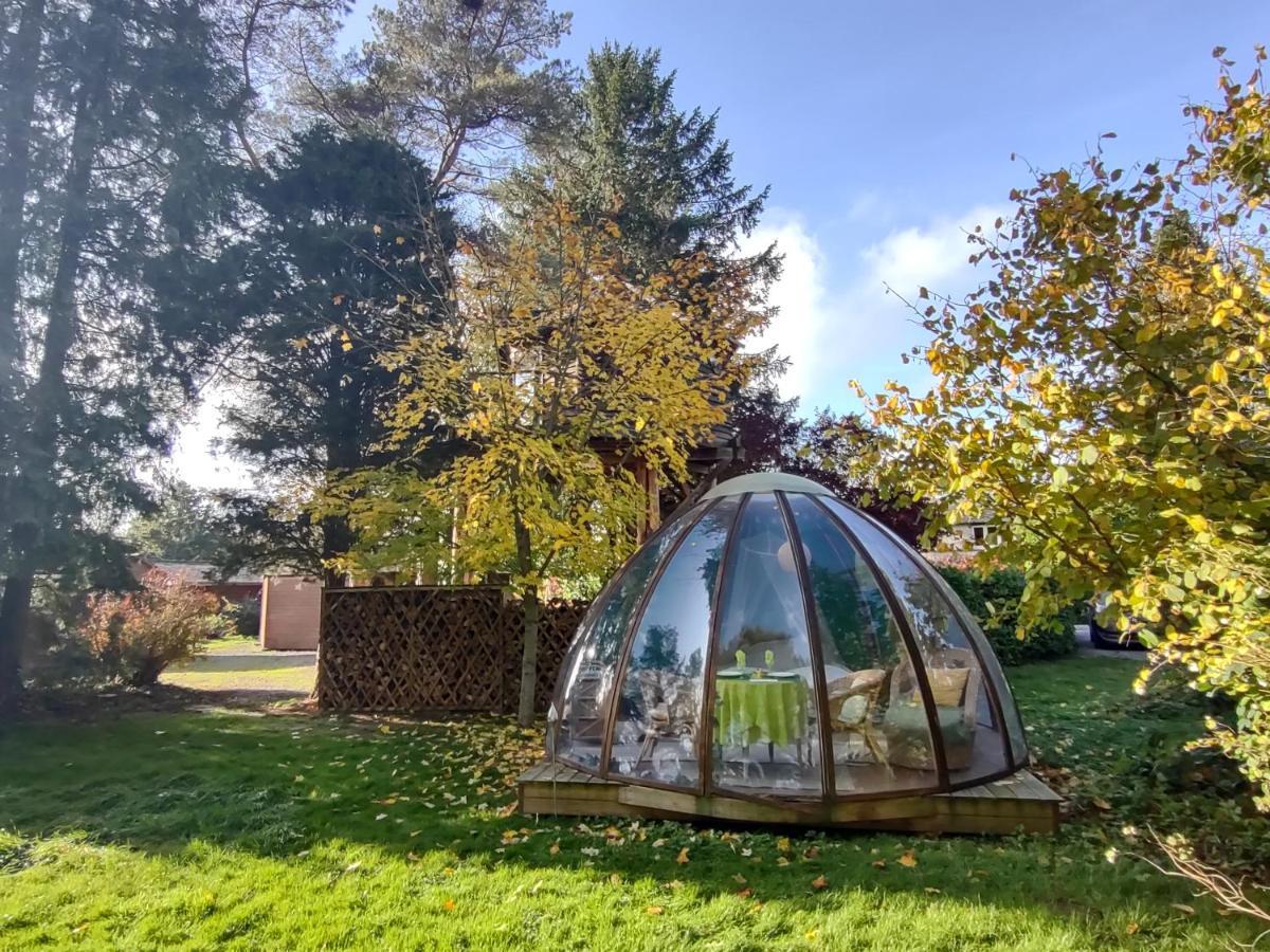 Domaine De La Carrauterie By Terre Insolite Sautin Εξωτερικό φωτογραφία